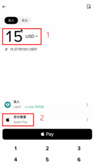 选择美元后的支付方式Wise卡演示界面