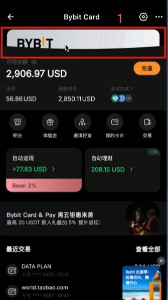 Bybit澳区虚拟卡「终止」选项界面