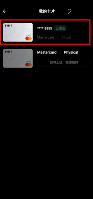 Bybit澳区虚拟卡「终止」选项界面