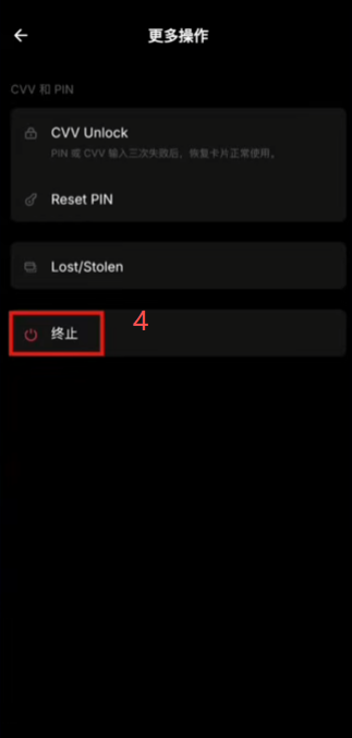 Bybit澳区虚拟卡「终止」选项界面