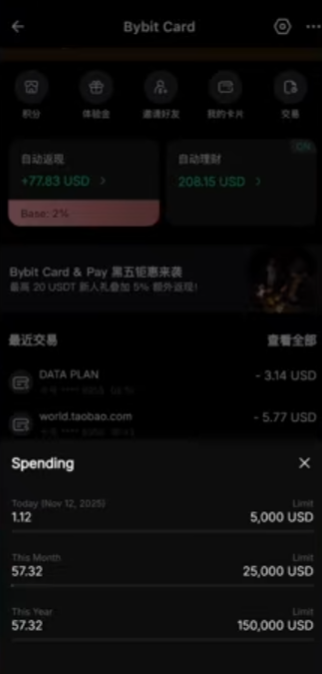 Bybit虚拟卡卡面及限额信息界面