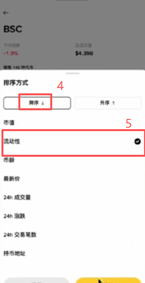 钱包BSC链筛选流动性降序列表