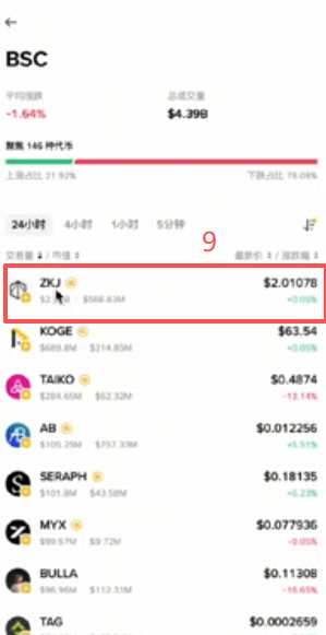 钱包BSC链筛选流动性降序列表