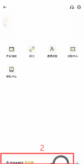 点击左上角Logo切换专业版的入口
