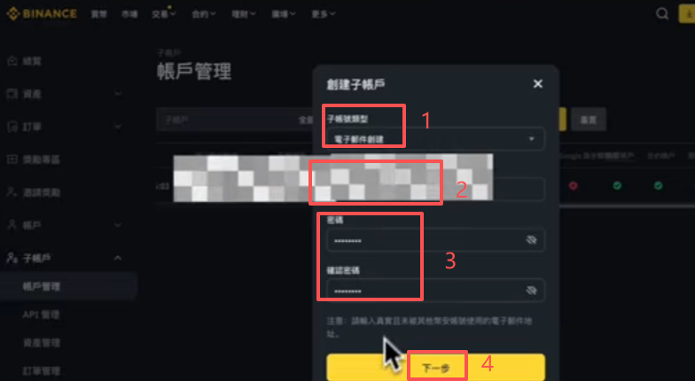 币安子账户填写邮箱和密码输入界面