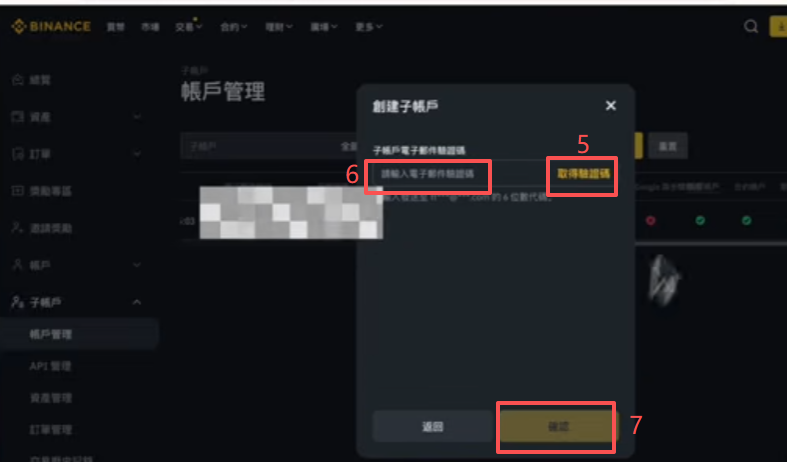 币安子账户填写邮箱和密码输入界面