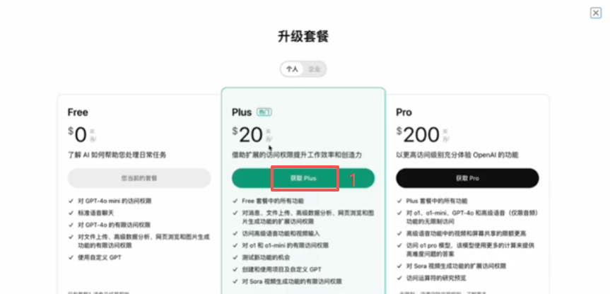 ChatGPT Plus订阅成功页面