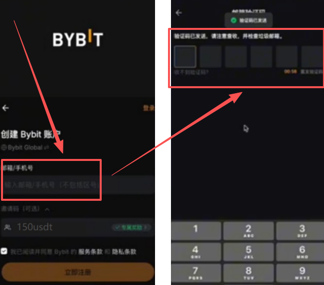 填写邮箱和邮箱验证码页面