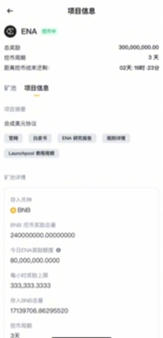 币安新币挖矿项目详情页白皮书入口