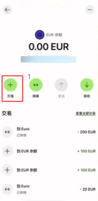 Wise APP选择Apple Pay充值100欧确认界面