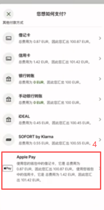 Wise APP选择Apple Pay充值100欧确认界面