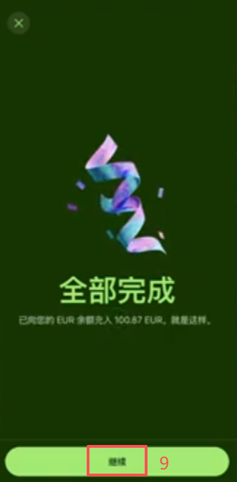 Wise APP选择Apple Pay充值100欧确认界面