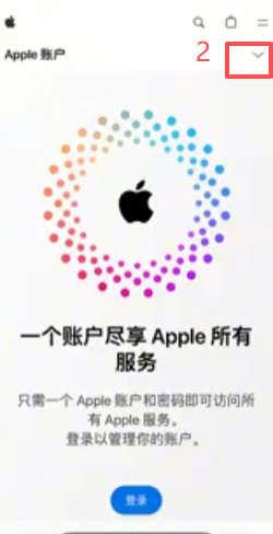 appleid.apple.com创建账户的网页表单