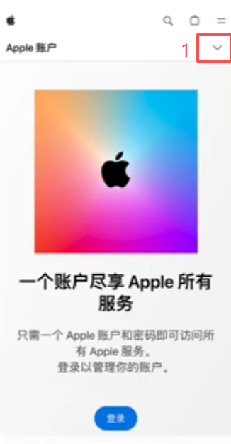 进入网页后显示中国大陆地区界面