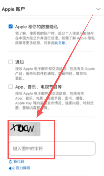 输入验证码页面