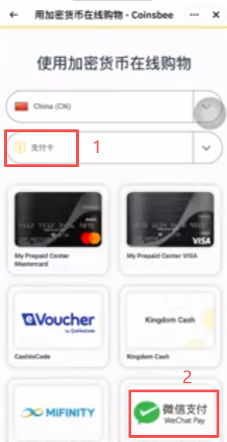 Coinsbee订单详情礼品卡代码界面