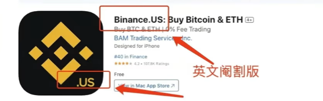 阉割版币安APP页面