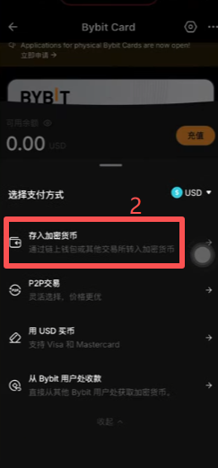 Bybit选择USDT充值链类型界面