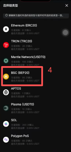 Bybit选择USDT充值链类型界面