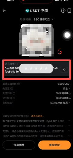 Bybit选择USDT充值链类型界面