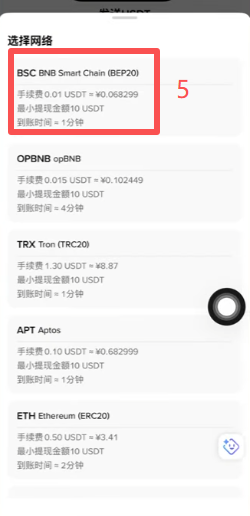 币安APP提币页选择BSC网络粘贴地址界面