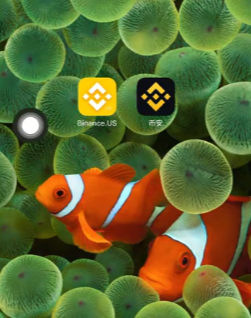 币安阉割版和国际版APP LOGO截图