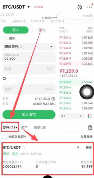查看委托订单页面