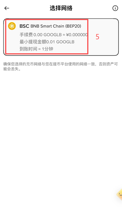 币安提现选择GOOGLB币种和粘贴地址界面