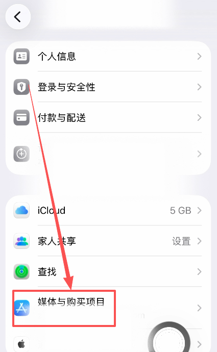 iPhone设置中「媒体与购买项目」入口界面