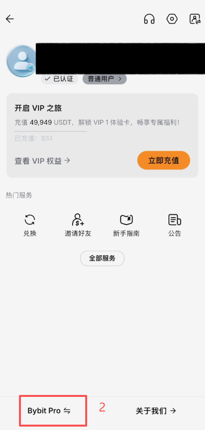 Bybit充值页面选择币种和链界面