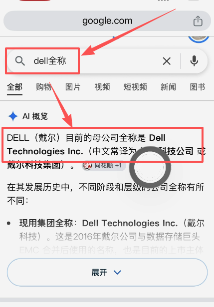 DELL股票全称搜索页面