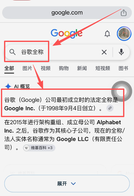 谷歌公司全称搜索结果页面