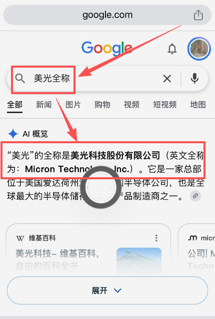 美光全称搜索结果页面