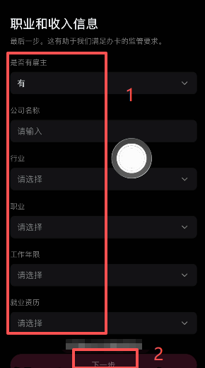 填写雇主及收入信息表单界面