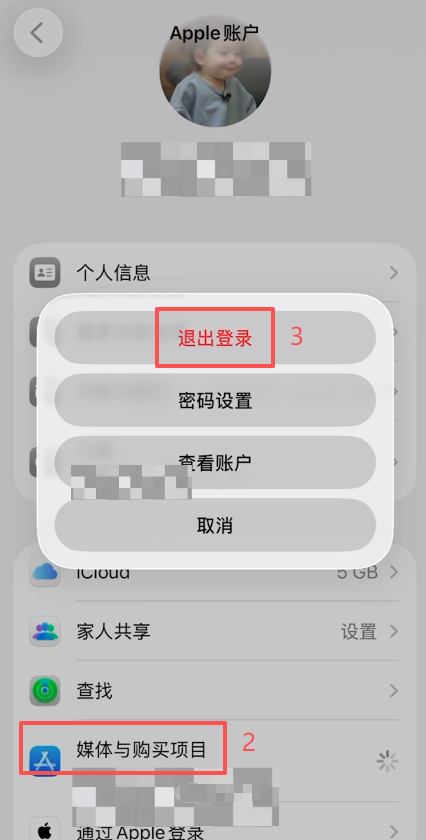 设置中「媒体与购买项目」退出登录选项