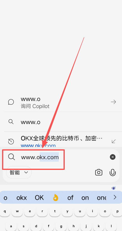 手机浏览器输入OKX官网地址的界面