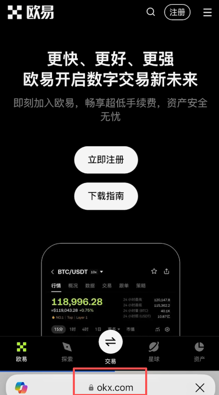 打开梯子网页正常加载页面