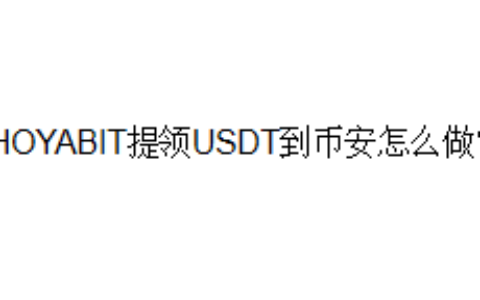 HOYABIT提领USDT到币安怎么做？