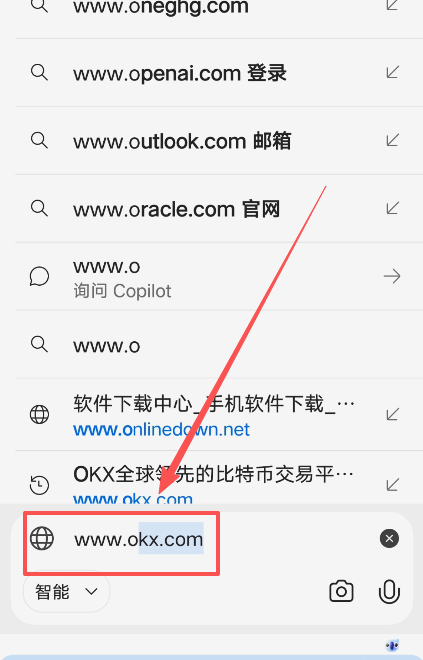 浏览器输入网址页面